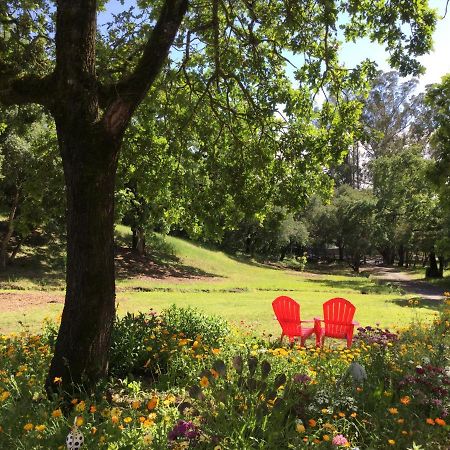 Amitabha Wine Country Cottage Santa Rosa Esterno foto