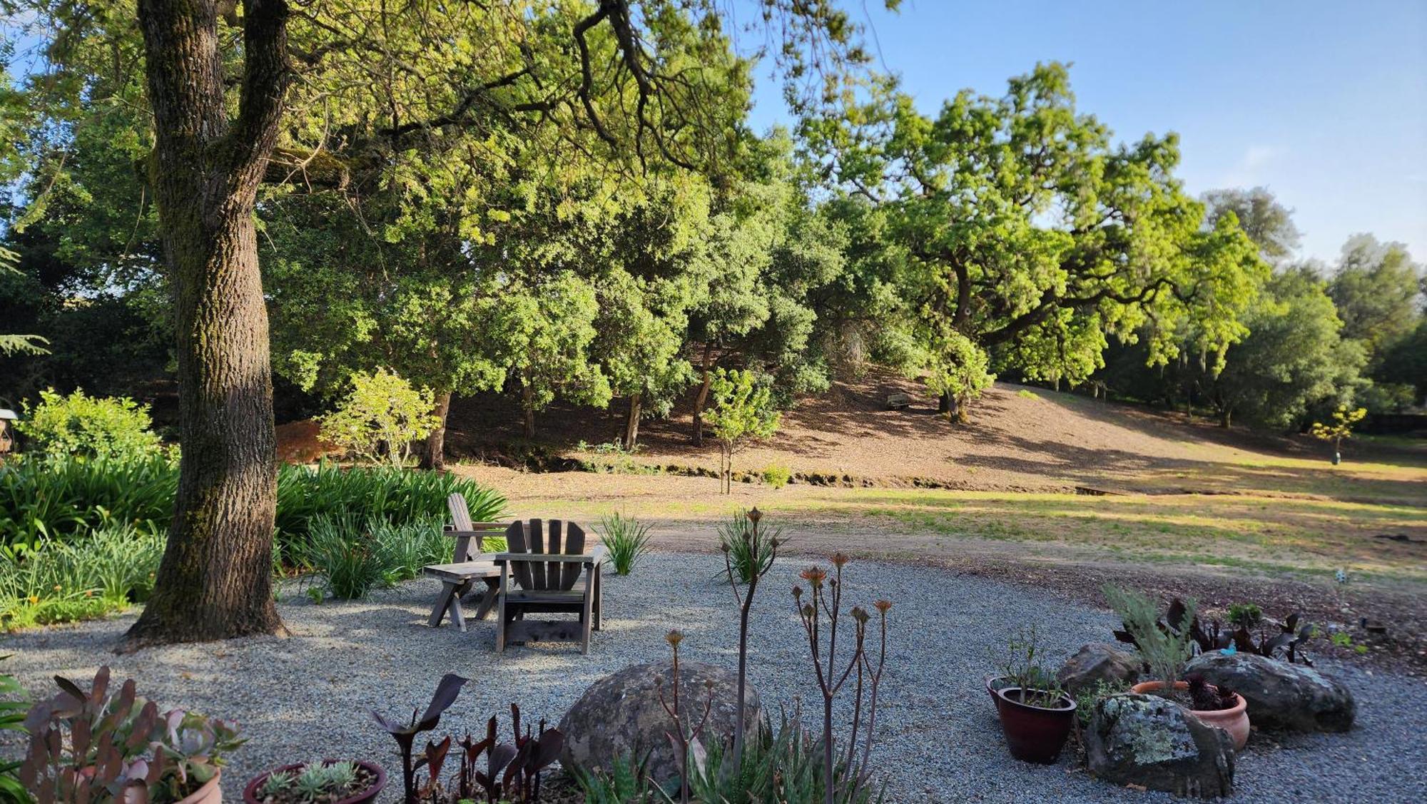 Amitabha Wine Country Cottage Santa Rosa Esterno foto
