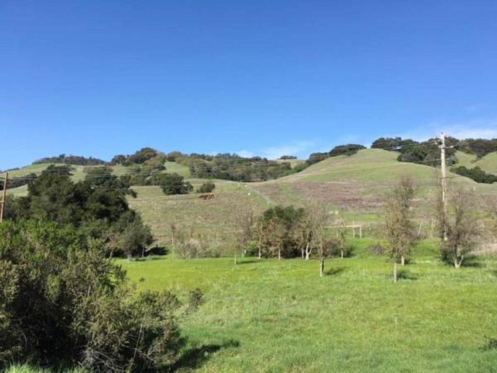 Amitabha Wine Country Cottage Santa Rosa Esterno foto